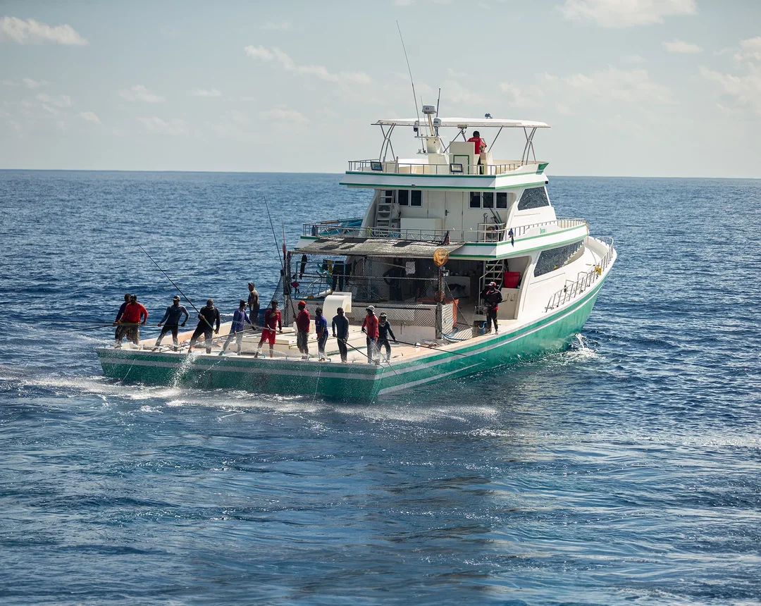 A white and green fishing vessel at sea, with about a dozen crew fishing with poles from its stern deck.