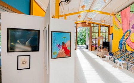 Oaga Art Resort Announces an Open Call for Local Artists to Showcase Work in Veyoge Gallery Villas